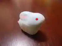 宇治上神社のおみくじ