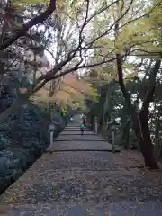 白山比咩神社の建物その他