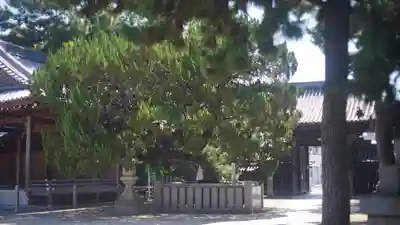 高砂神社(兵庫県)