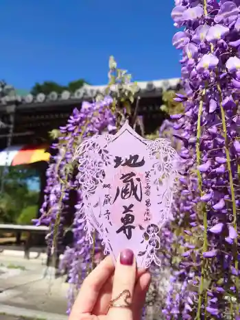 子安地蔵寺の御朱印 2025年04月