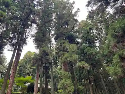 大宮温泉神社(栃木県)