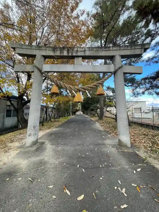 糟目犬頭神社(愛知県)