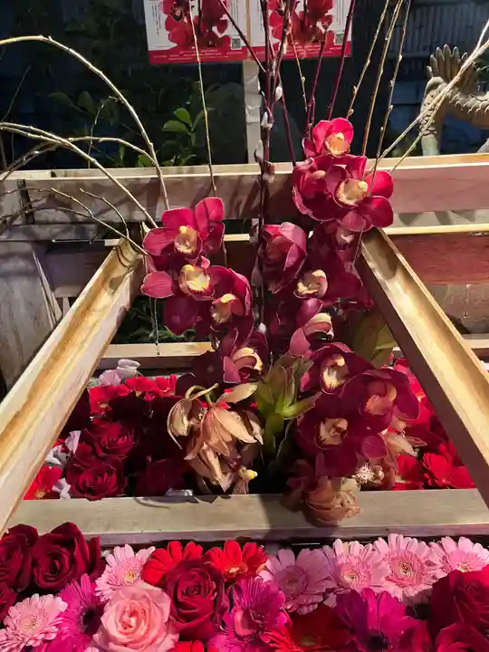 東京大神宮(東京都)