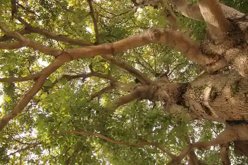 道庭香取神社(埼玉県)