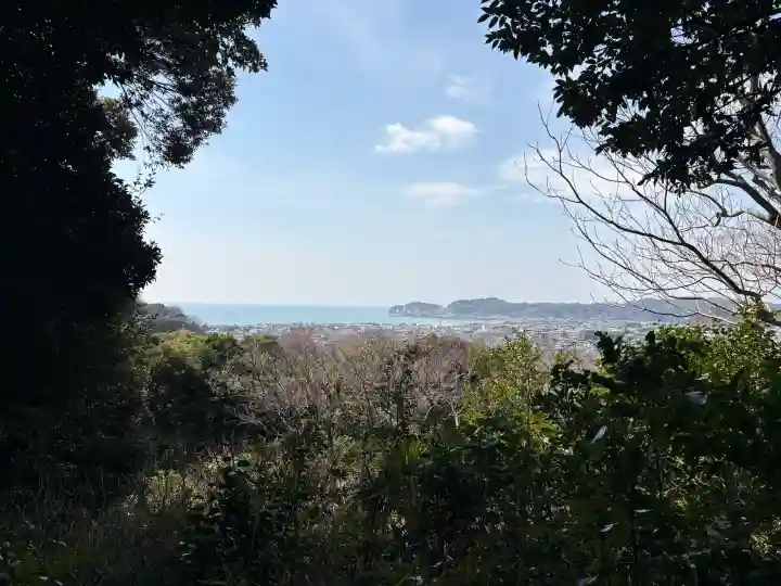 妙法寺の{uncategorized: "未分類", other: "その他", undefined: "問題あり", building: "その他建物", grave: "お墓", sacred_gate: "鳥居", guardian: "狛犬", statue: "像", buddha: "仏像", history: "歴史", nature: "自然", garden: "庭園", animal: "動物", pagoda: "塔", temizu: "手水舎", mountain_gate: "山門・神門", sanctuary: "本殿・本堂", subordinate: "末社・摂社", art: "芸術", scenery: "景色", jizo: "地蔵", ema: "絵馬", goshuin: "御朱印", omikuji: "おみくじ", items: "授与品その他", amulet: "お守り", goshuincho: "御朱印帳", eats: "食事", festival: "お祭り", votive_dance: "神楽", shichigosan: "七五三参", wedding: "結婚式", experience: "体験その他", initially: "初詣", around: "周辺", anti_infection: "感染症対策"}