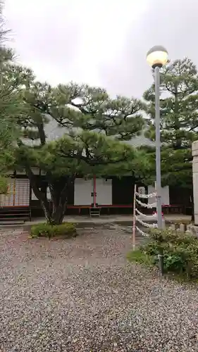 六道珍皇寺の庭園