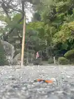 鹿島大神宮(福島県)