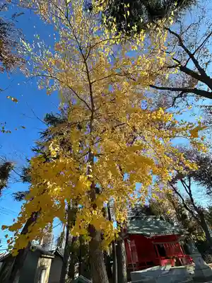 小野神社(東京都)