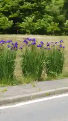 高司神社〜むすびの神の鎮まる社〜(福島県)