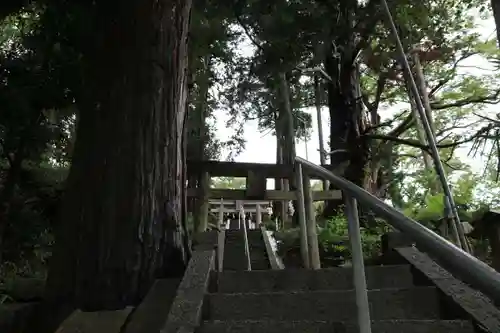 阿久津「田村神社」（郡山市阿久津町）旧社名：伊豆箱根三嶋三社の景色