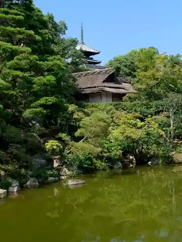 仁和寺の庭園