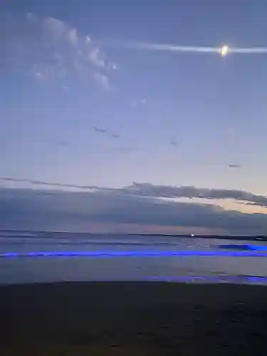 大洗磯前神社(茨城県)