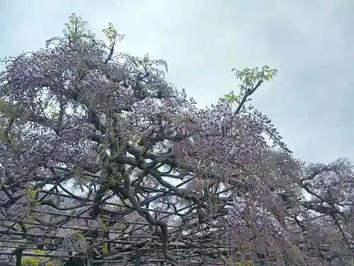 竹鼻別院(岐阜県)