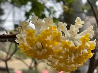 神野寺(千葉県)