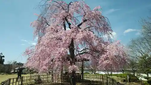 呉服神社の自然