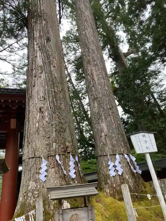 日光二荒山神社の自然