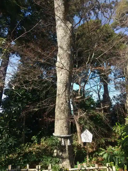 高蔵寺(東京都)