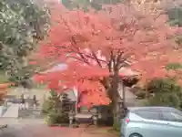 円福寺のその他建物