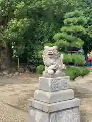 由乃伎神社の狛犬