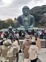 高徳院の{uncategorized: "未分類", other: "その他", undefined: "問題あり", building: "その他建物", grave: "お墓", sacred_gate: "鳥居", guardian: "狛犬", statue: "像", buddha: "仏像", history: "歴史", nature: "自然", garden: "庭園", animal: "動物", pagoda: "塔", temizu: "手水舎", mountain_gate: "山門・神門", sanctuary: "本殿・本堂", subordinate: "末社・摂社", art: "芸術", scenery: "景色", jizo: "地蔵", ema: "絵馬", goshuin: "御朱印", omikuji: "おみくじ", items: "授与品その他", amulet: "お守り", goshuincho: "御朱印帳", eats: "食事", festival: "お祭り", votive_dance: "神楽", shichigosan: "七五三参", wedding: "結婚式", experience: "体験その他", initially: "初詣", around: "周辺", anti_infection: "感染症対策"}