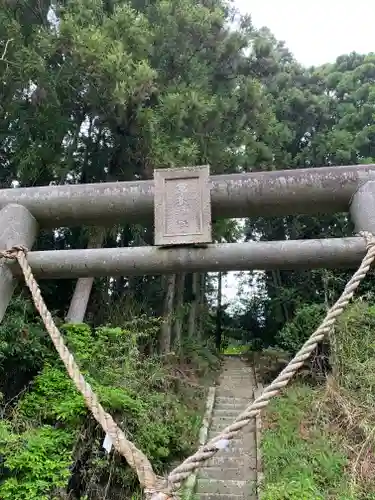 箒根神社の鳥居