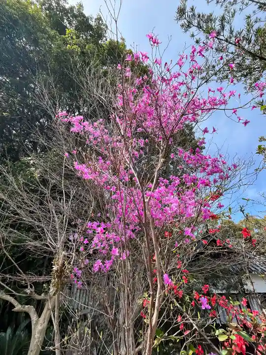 種河神社(大阪府)