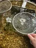 水分神社(富山県)