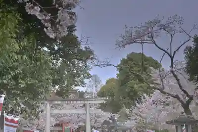 富士山本宮浅間大社(静岡県)