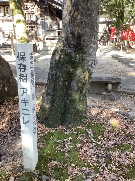 白山神社の自然