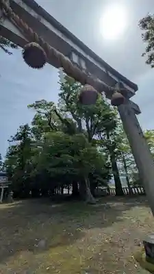 八幡神社(滋賀県)