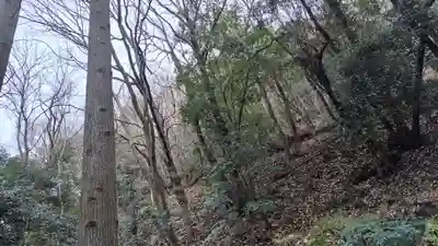 出雲大神宮(京都府)