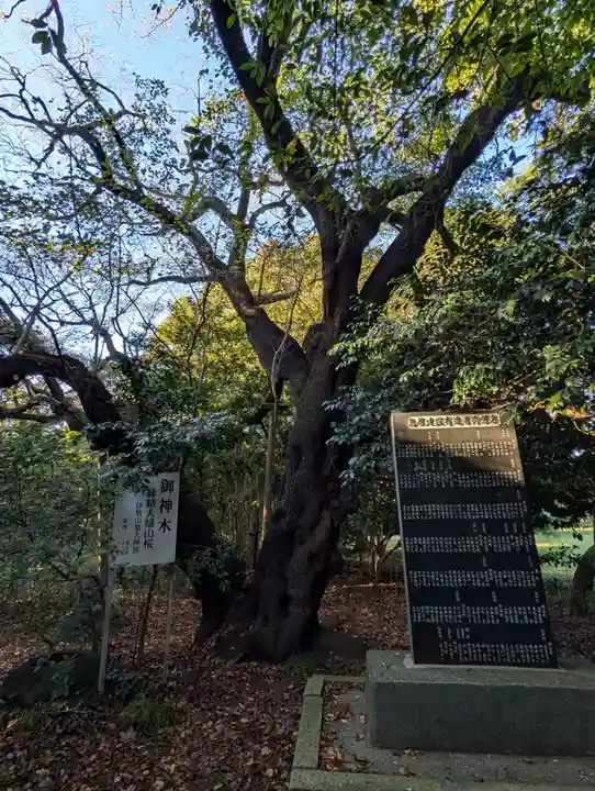 西富伊勢山天照皇大神宮(神奈川県)