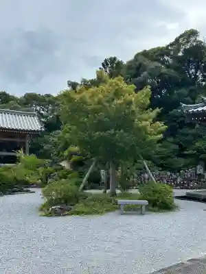 大日寺(高知県)