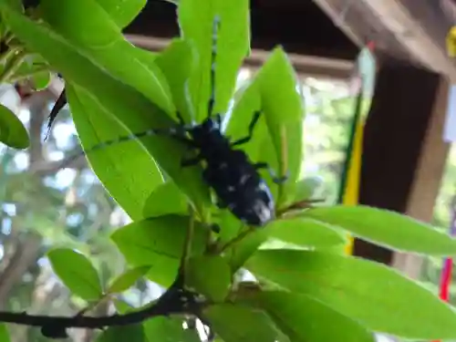 滑川神社 - 仕事と子どもの守り神の動物