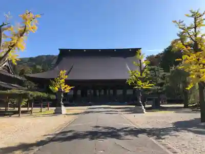 井波別院瑞泉寺の本殿・本堂