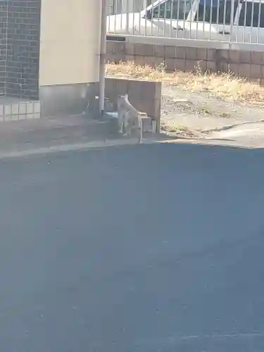 大日薬師堂(栃木県)