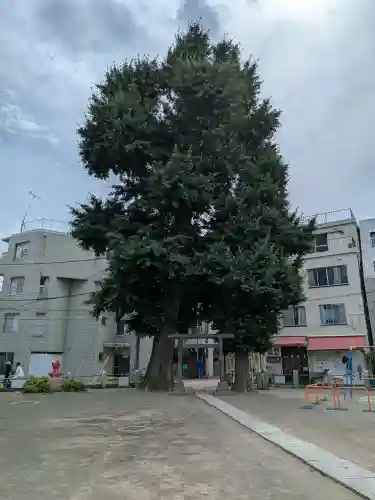 天祖神社(東京都)