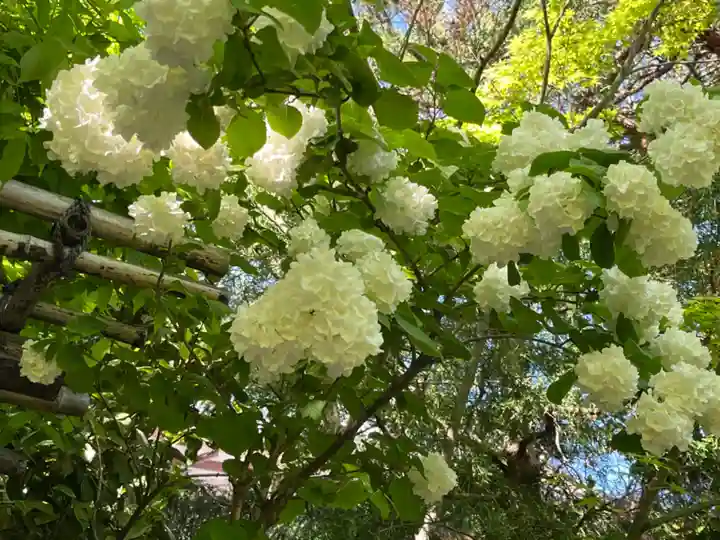 円通院(宮城県)