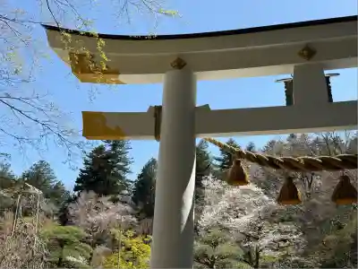 宝登山神社(埼玉県)