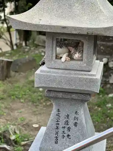 吾平津神社の動物