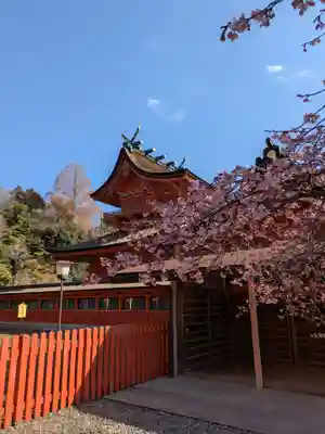 富士山本宮浅間大社(静岡県)
