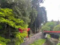 須山浅間神社(静岡県)