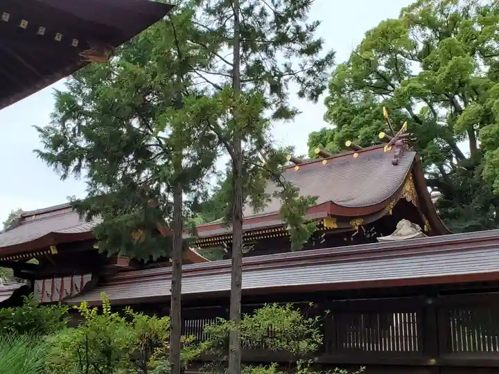 弓弦羽神社の本殿・本堂