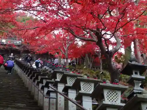 大山寺の自然