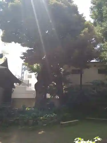 大森山王日枝神社(東京都)