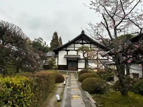 雲龍院の庭園