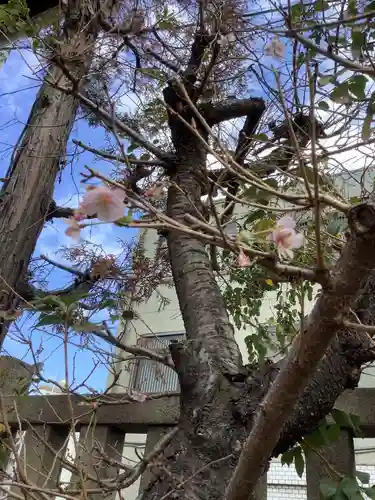 素盞男神社の自然