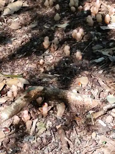 金剛頂寺(高知県)