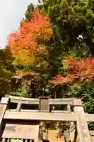 大山阿夫利神社本社の鳥居