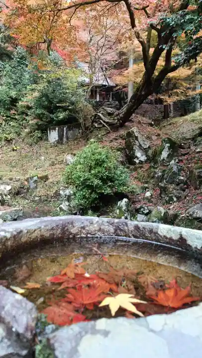 鶏足寺(滋賀県)